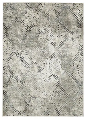 Poincilana 5' x 7' Rug neutral everyday carpet