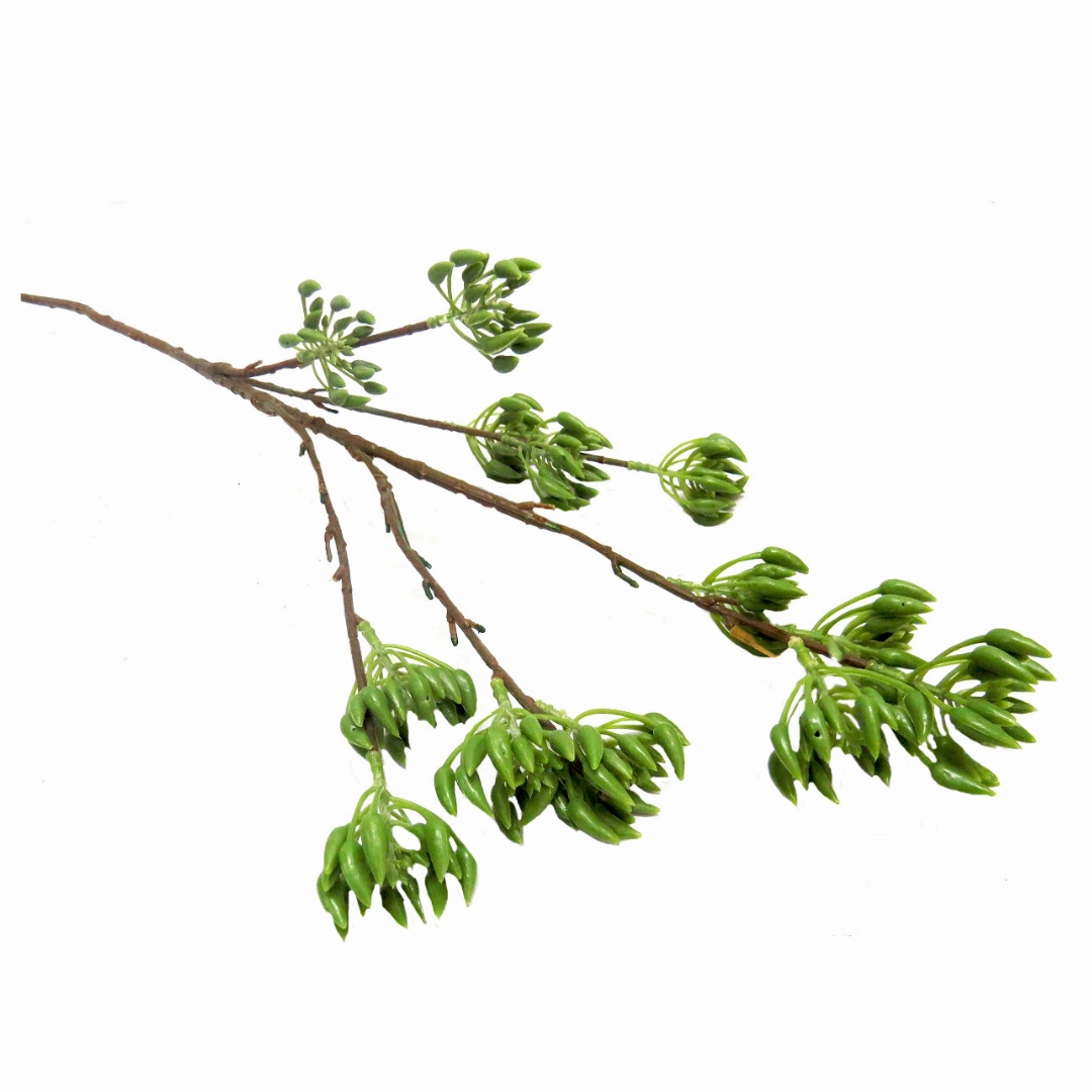 Pollen Nation Plant