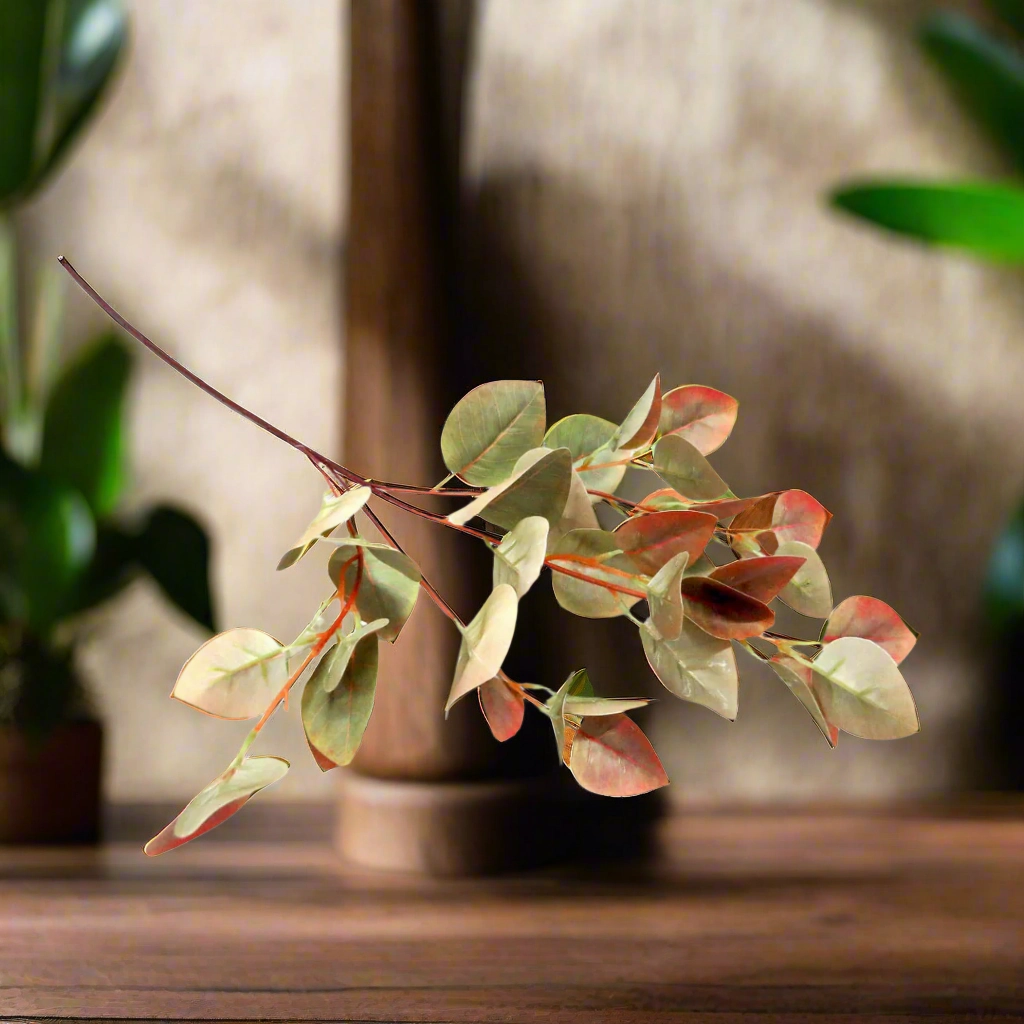 Pomegranate Leaf