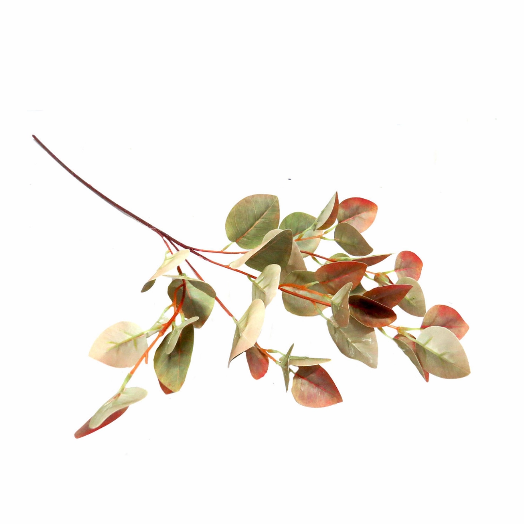 Pomegranate Leaf