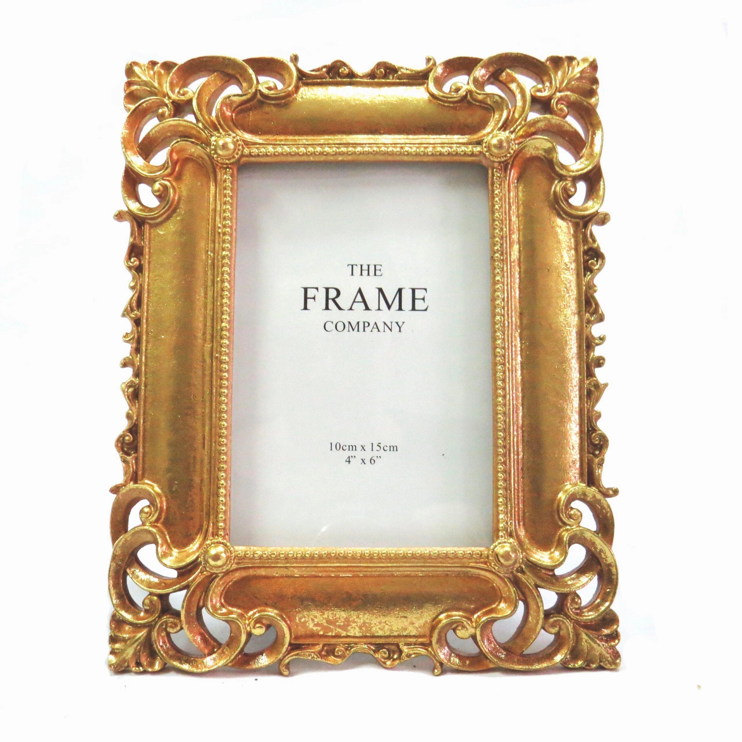 Portfolio Frame