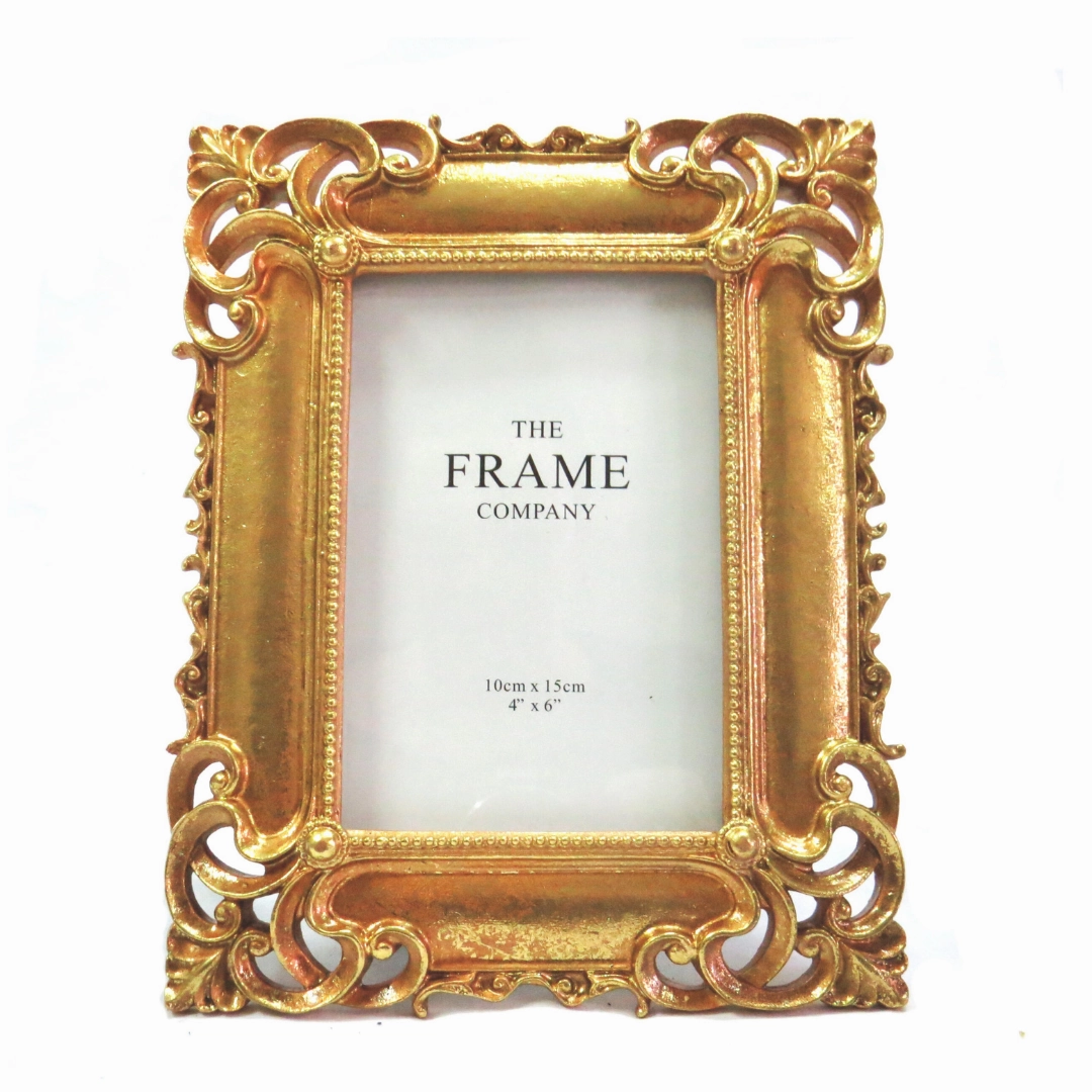 Portfolio Frame