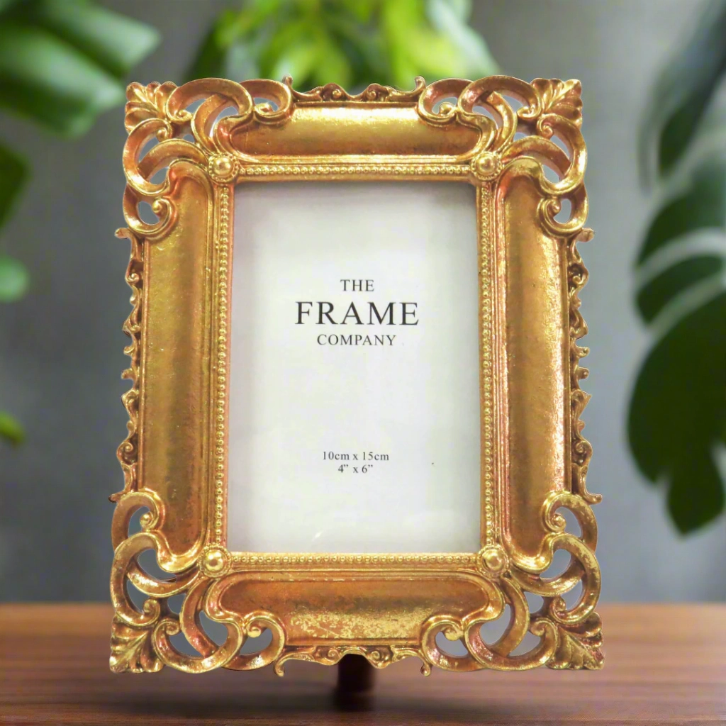 Portfolio Frame