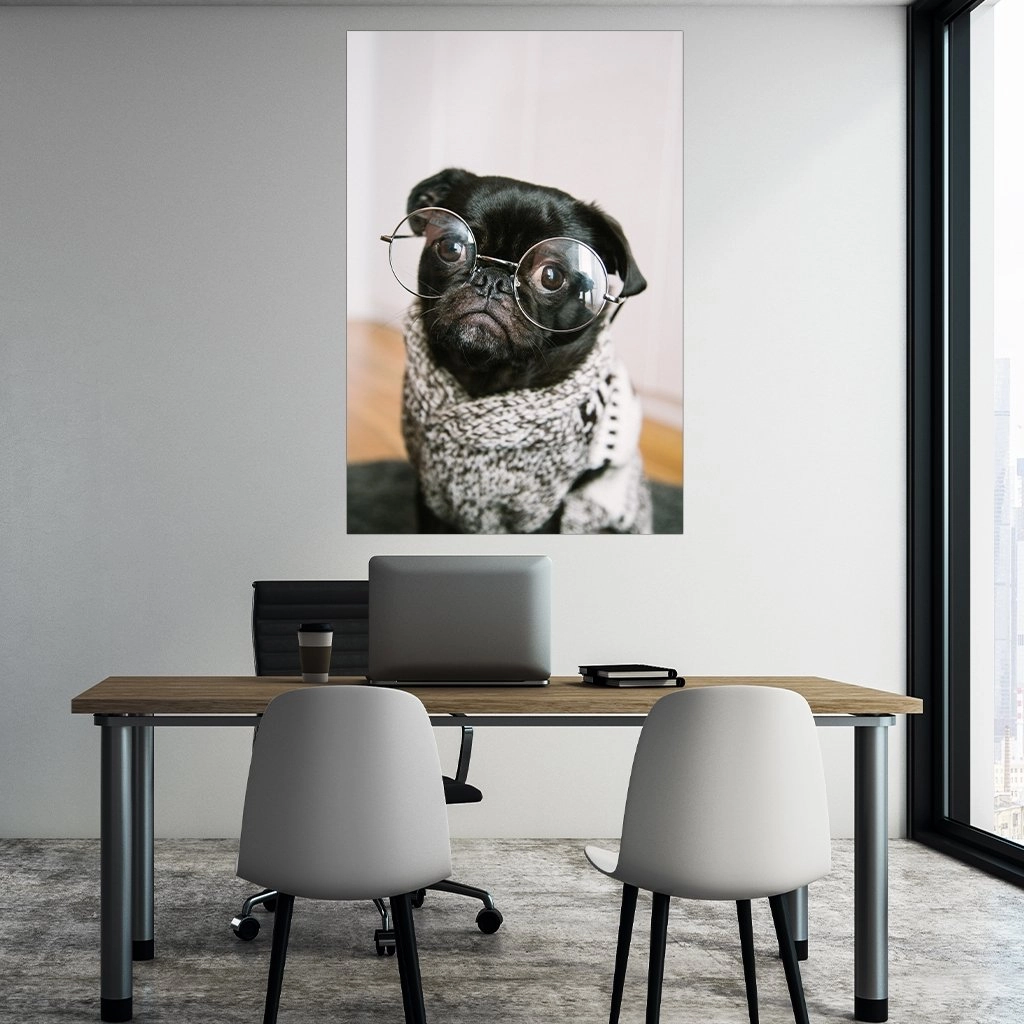 Pug glasses