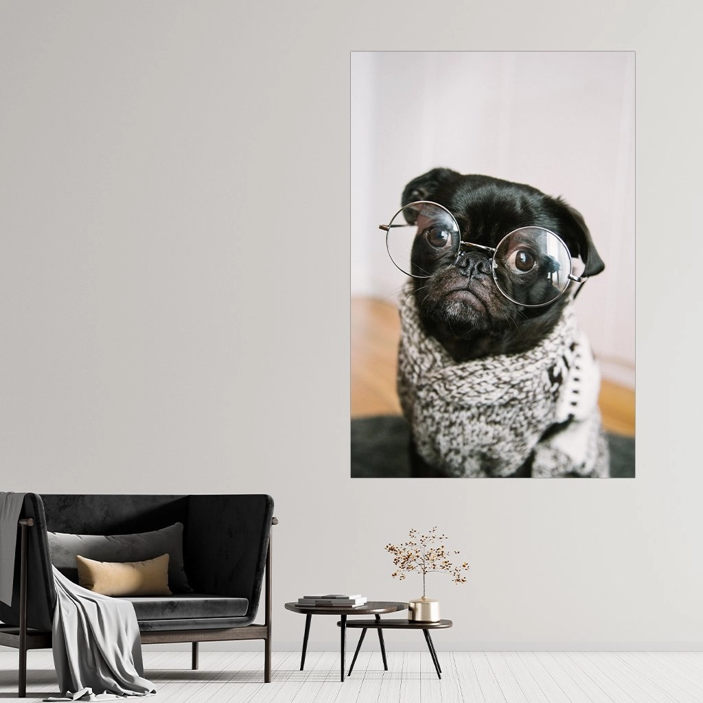 Pug glasses