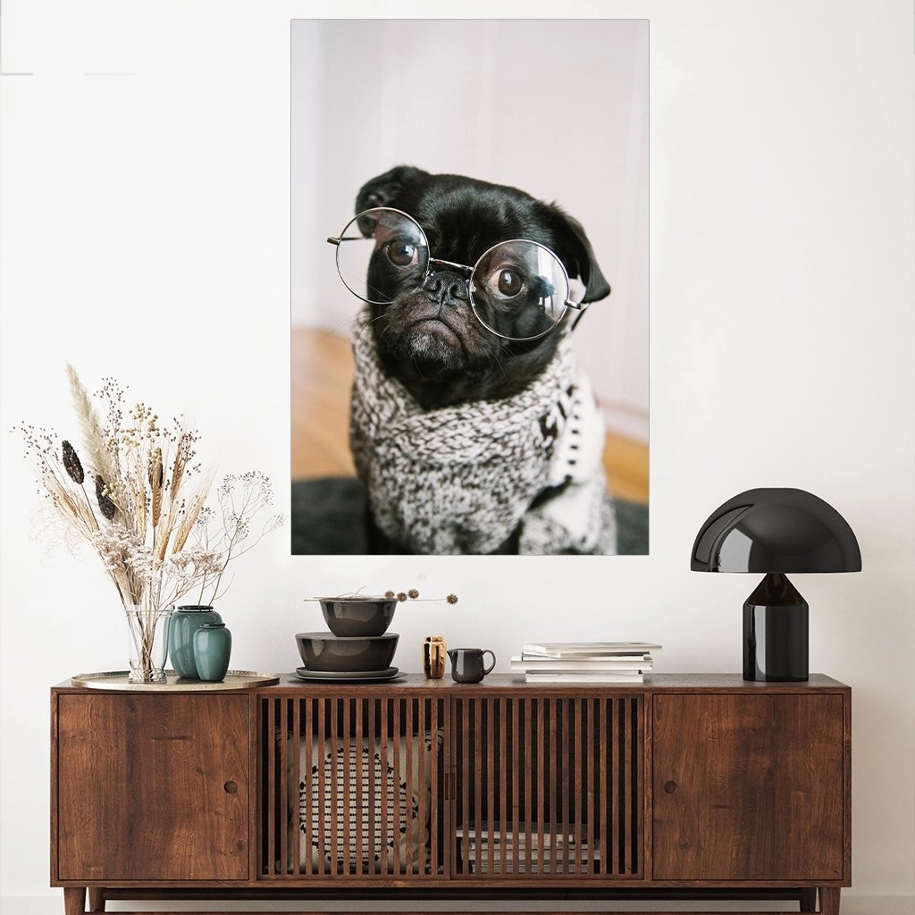 Pug glasses