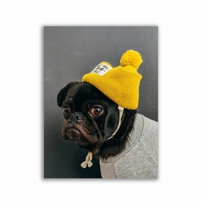 Pug hat framed mural artwork