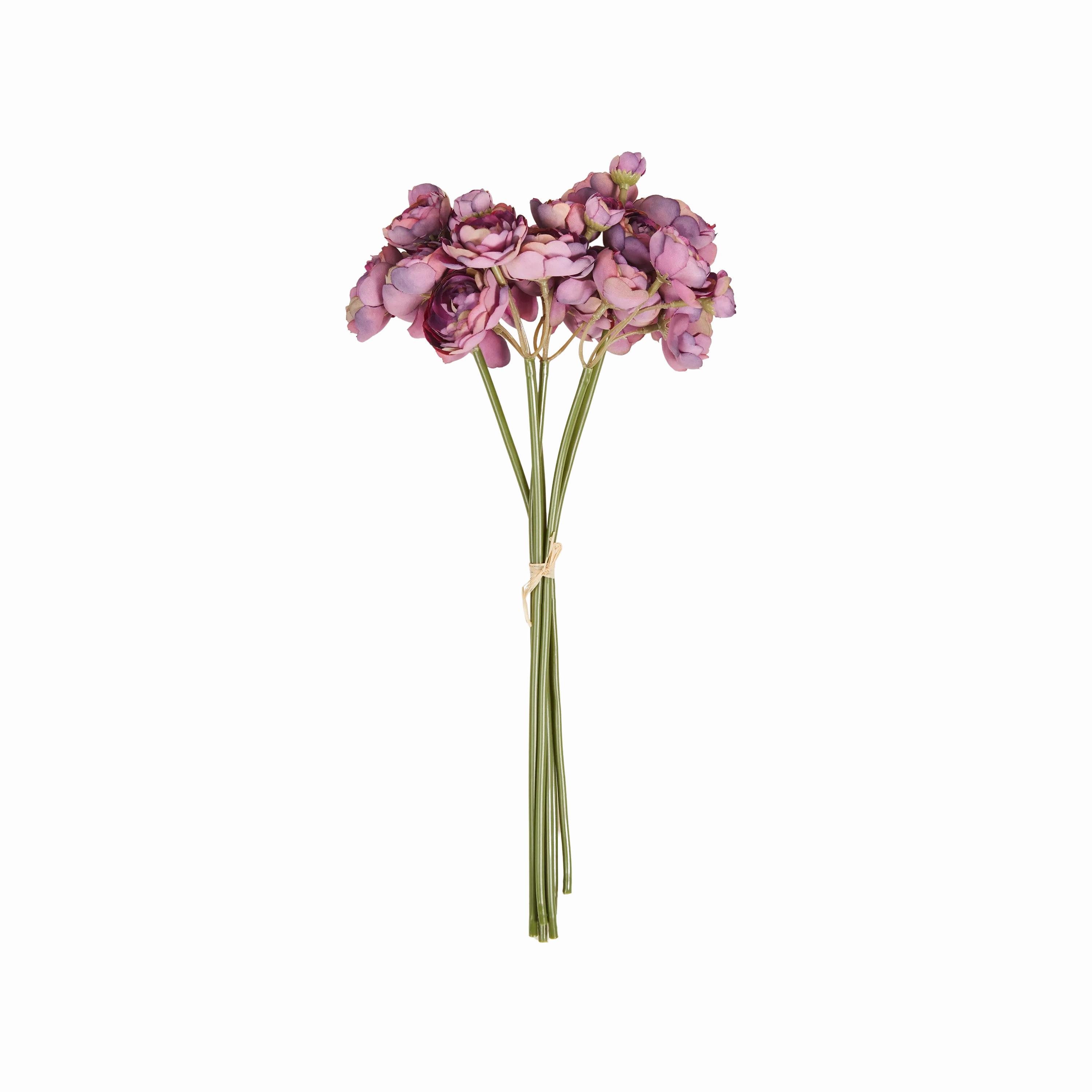 Ranunculus Bunch creative interior decor