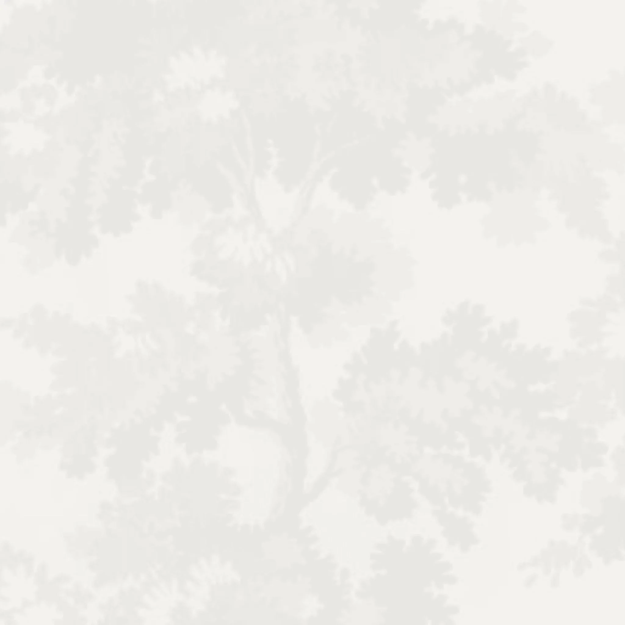Raphael Wallcovering in White paper wall covering