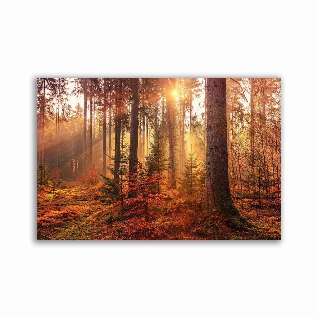 Red Forest framed mural artwork
