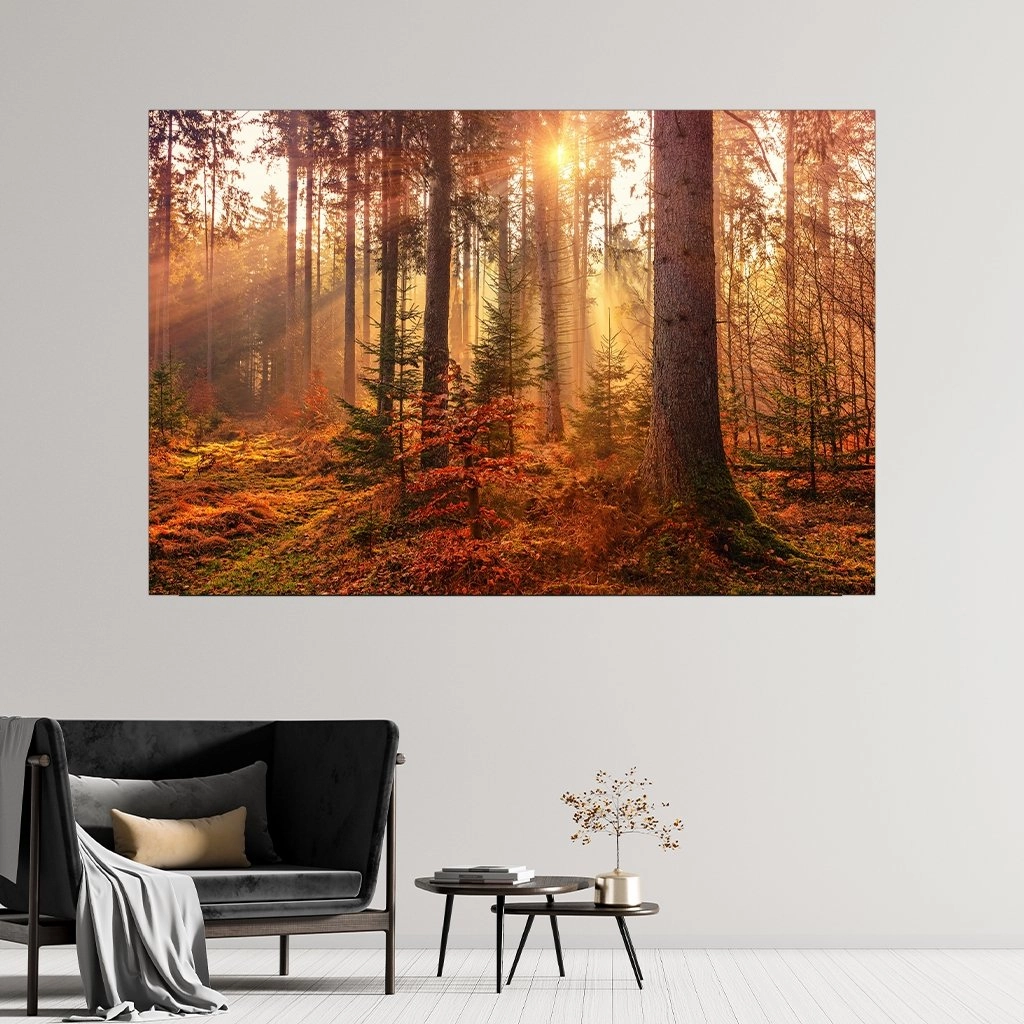 Red Forest 