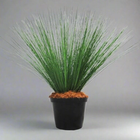 River Reeddance Plant decorative home ornament