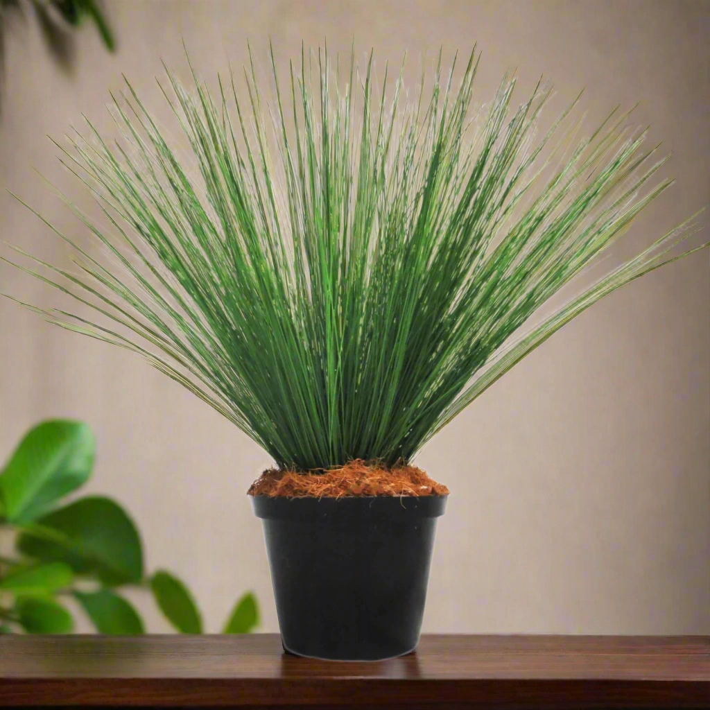 River Reeddance Plant
