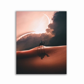 Roamer by Sublimenation framed mural artwork