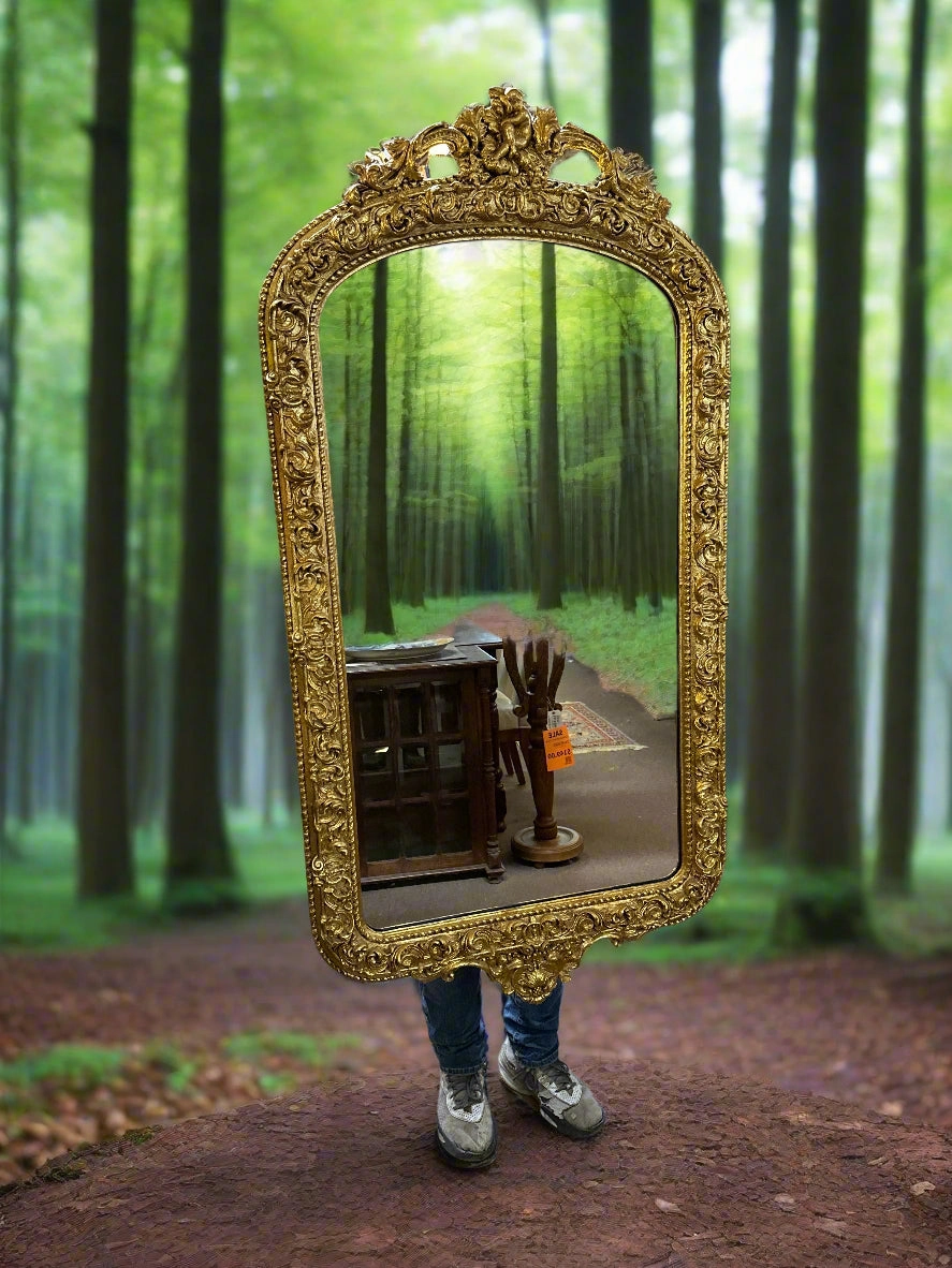 ROCOCO GOLD FOIL MIRROR artistic wall mural