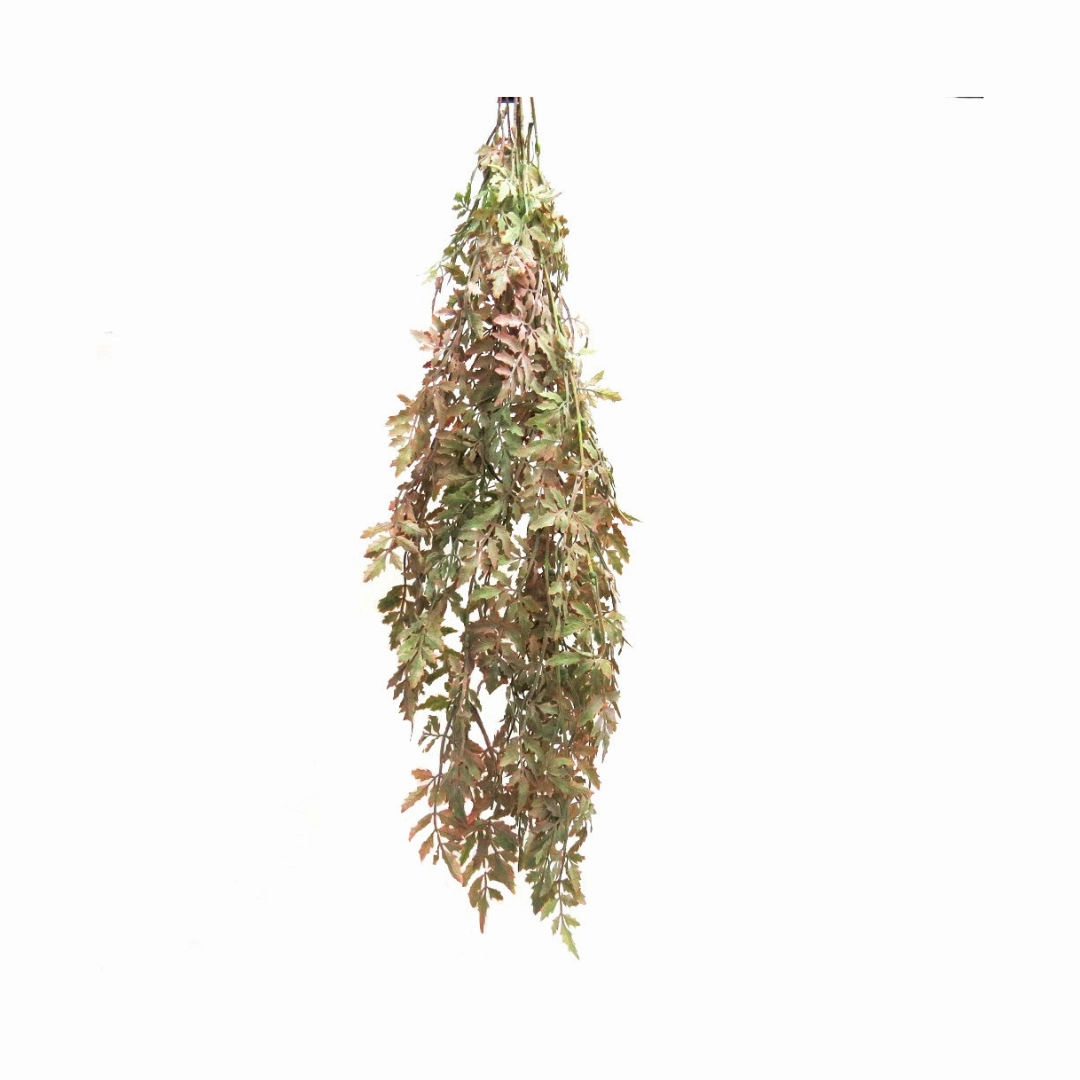 Romantica Fern Dusty