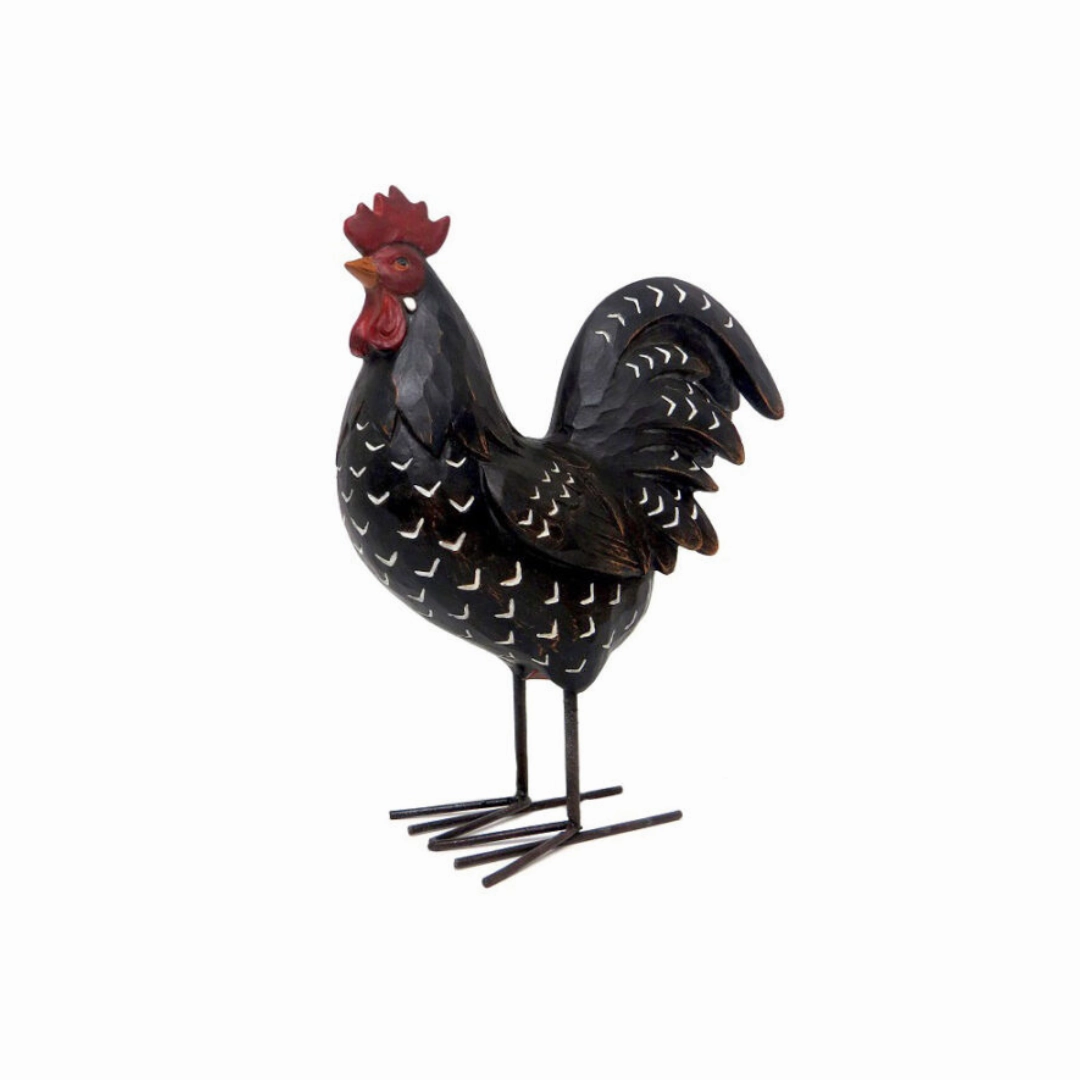Rooster Daddy