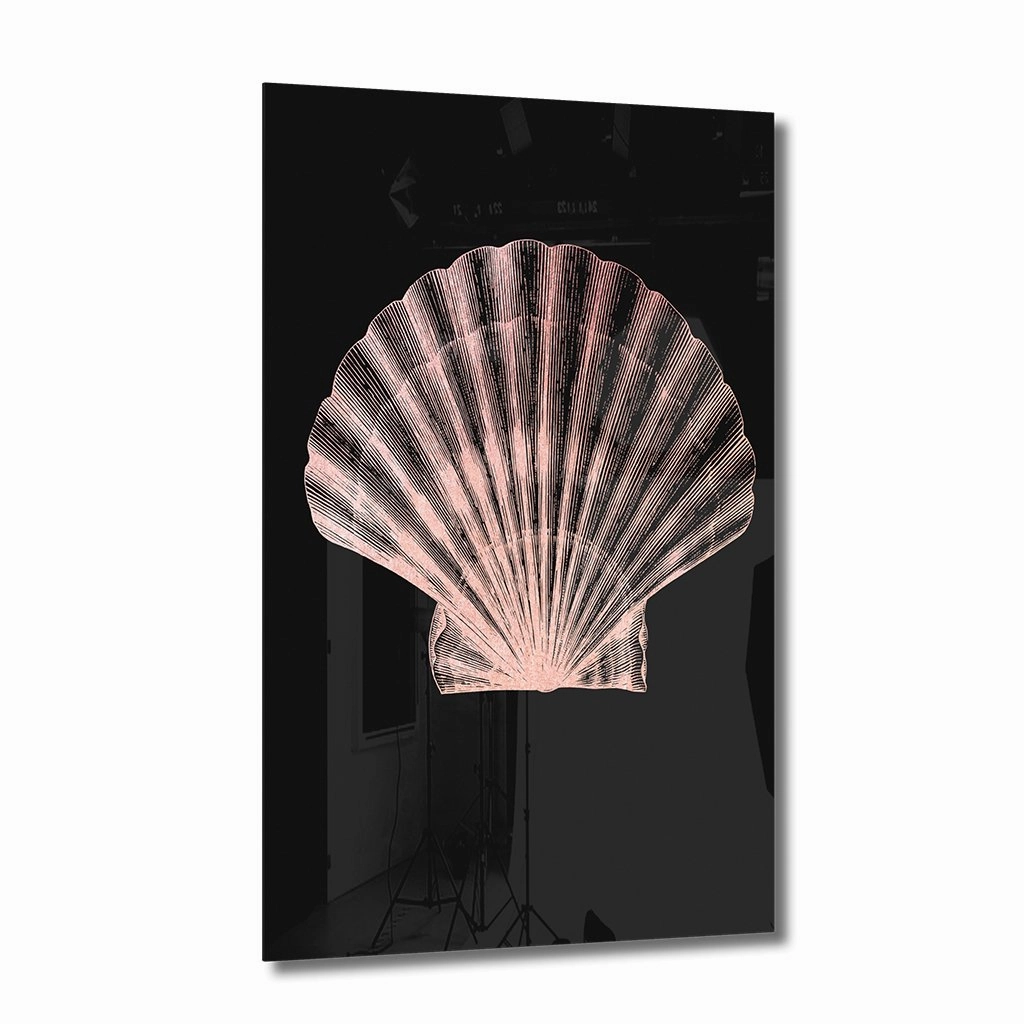 Ros Shell on Acrylic framed mural artwork