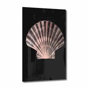 Ros Shell on Acrylic framed mural artwork