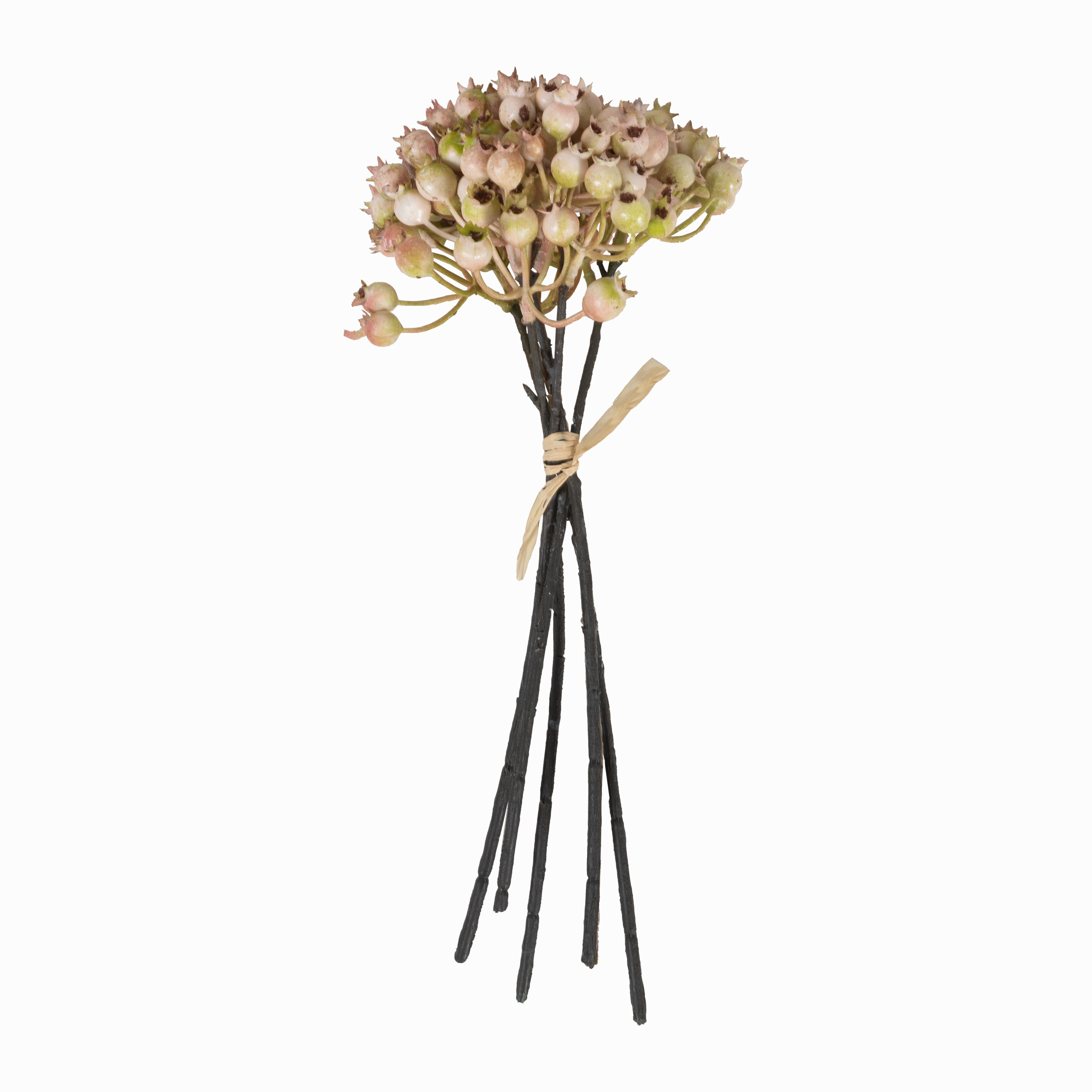 Rose Hip Bunch creative interior decor