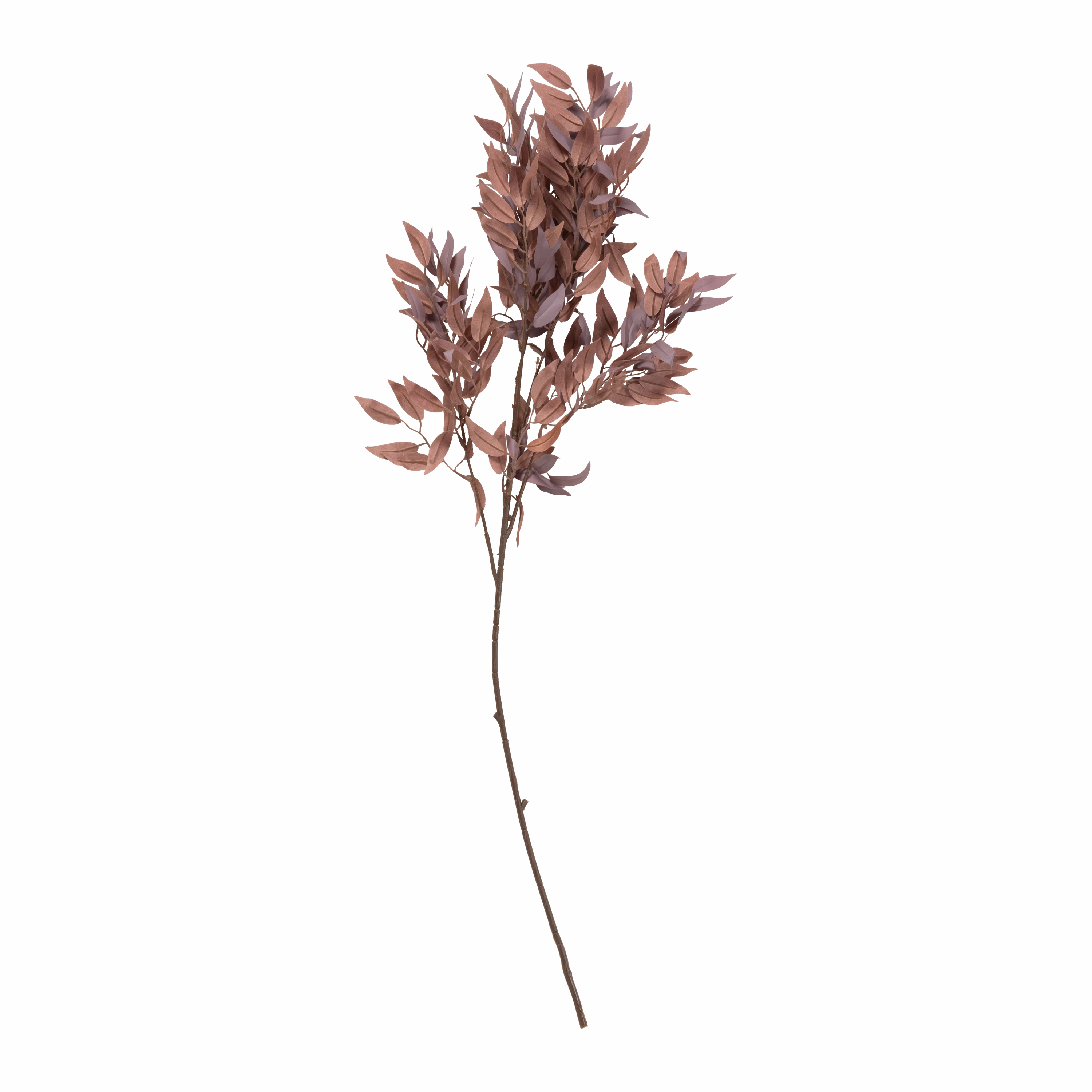 Salix Stem creative interior decor