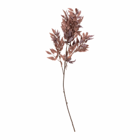 Salix Stem creative interior decor