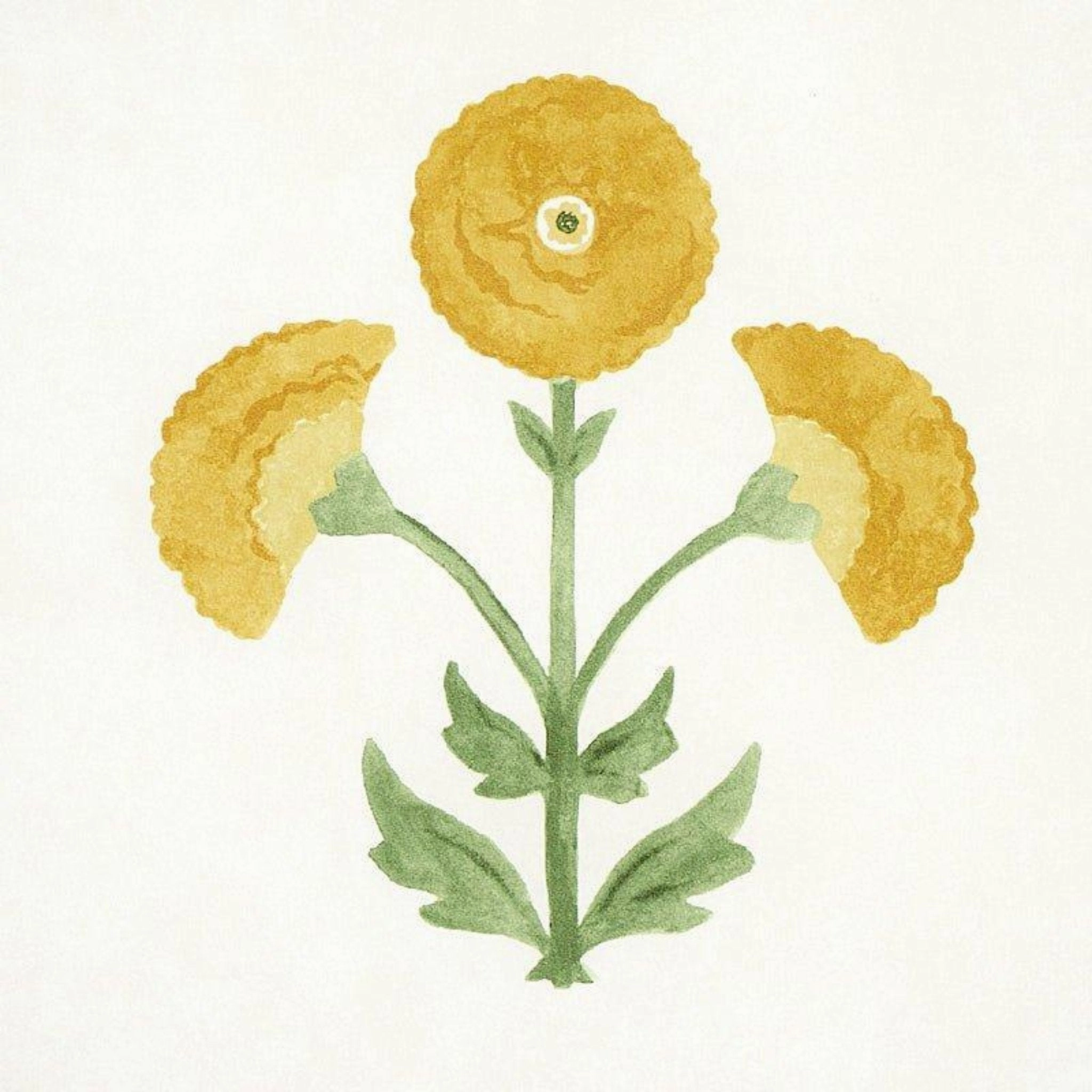 Saranda Flower Wallpaper in Marigold