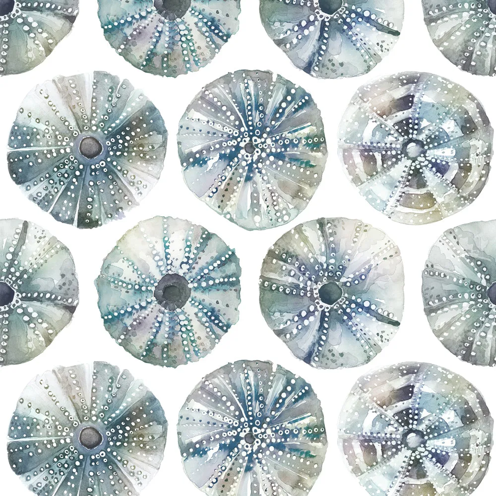 Sea Urchin Printed Cotton Made to Measure Roman Blinds Slate
