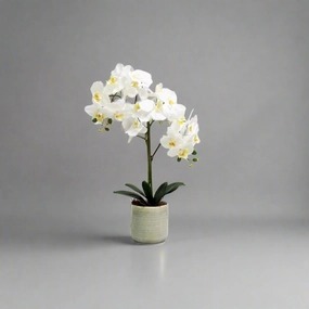 Serene soulmates in ceramic pot decorative home ornament