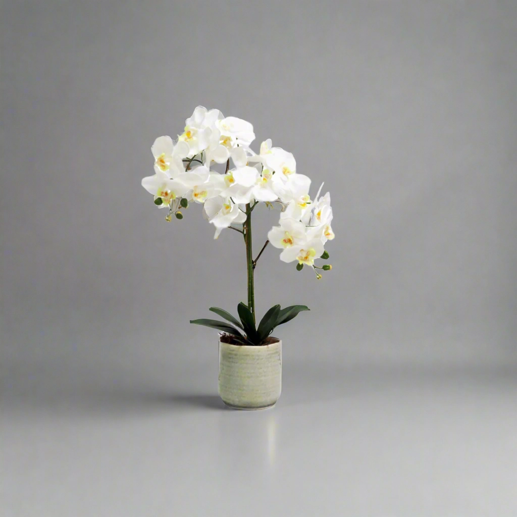 Serene soulmates in ceramic pot decorative home ornament