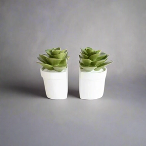 Set of 2 Succulent Book Ends 15X15cm decorative home ornament