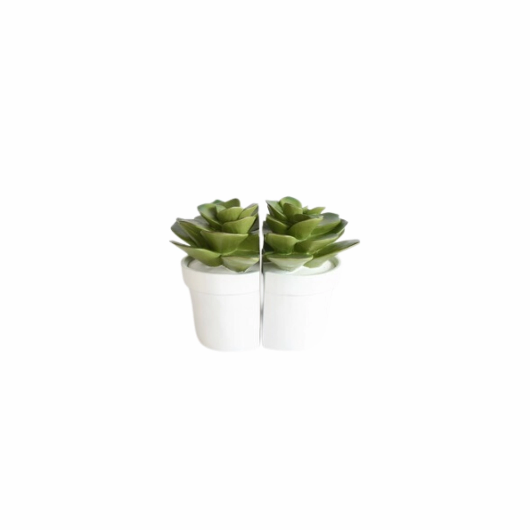 Set of 2 Succulent Book Ends 15X15cm