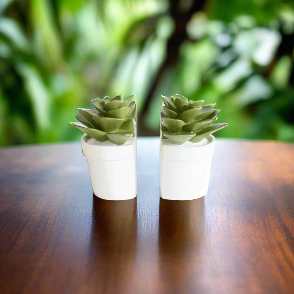 Set of 2 Succulent Book Ends 15X15cm