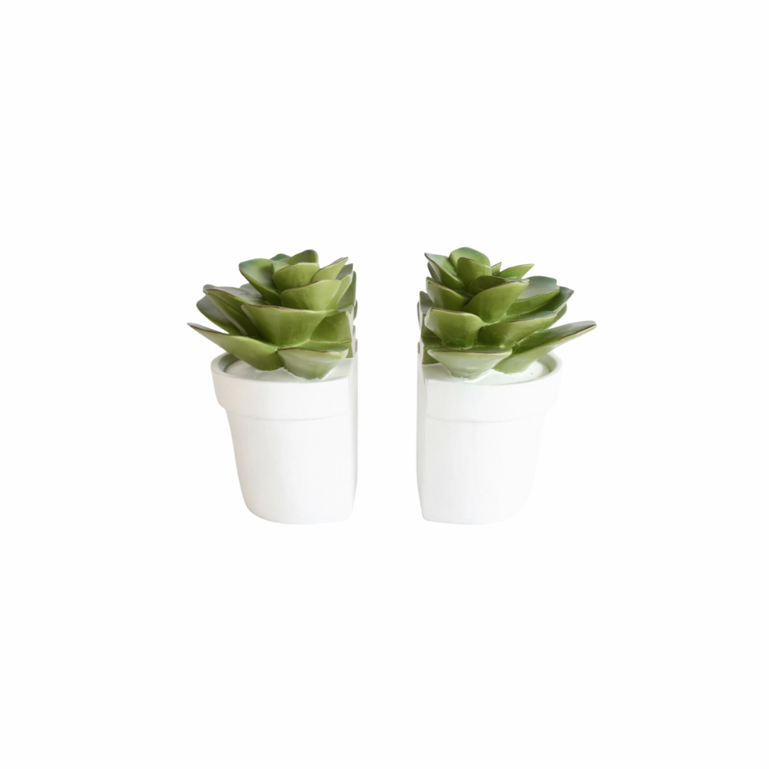 Set of 2 Succulent Book Ends 15X15cm