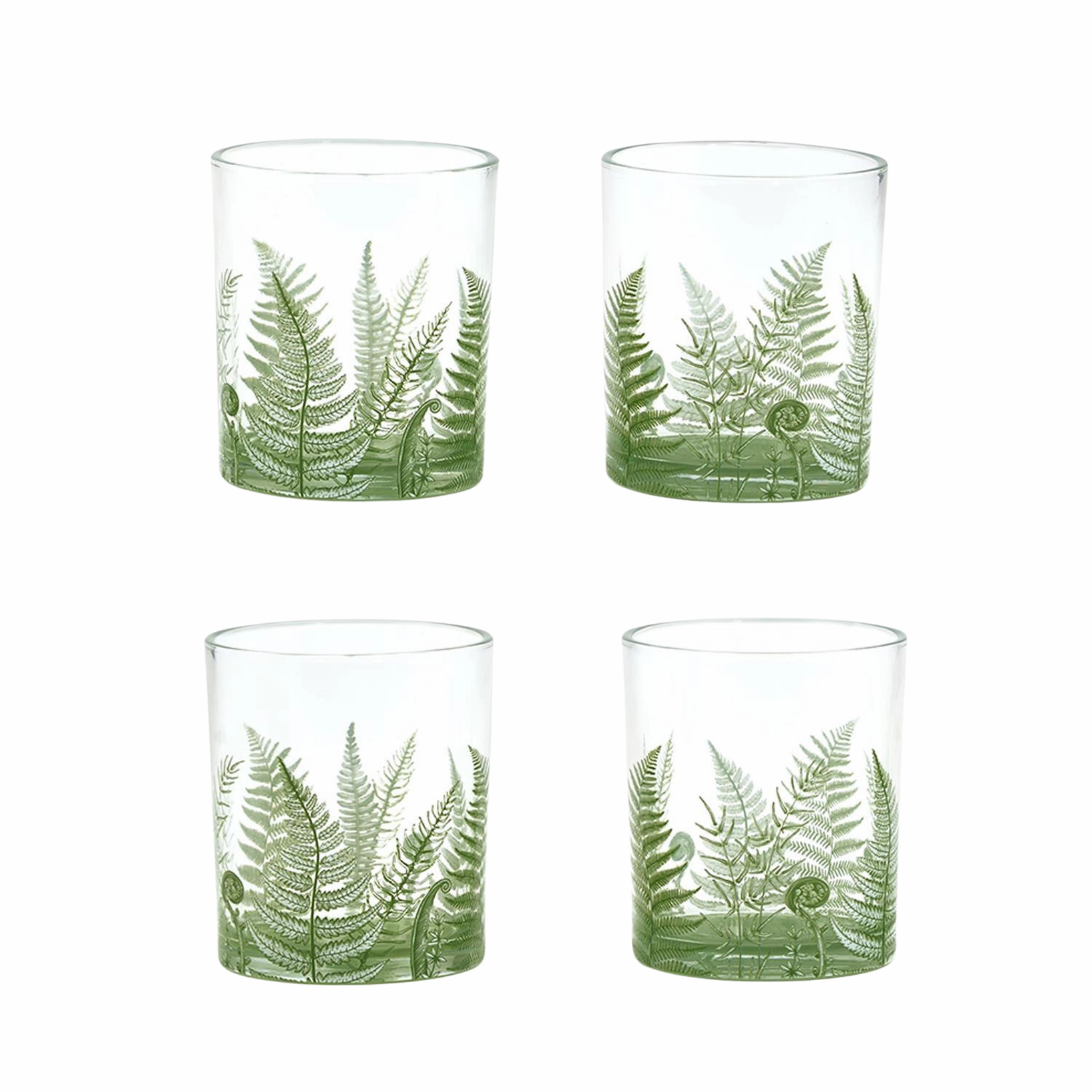 Set of 4 Fern Double Old Fashion Glasses cute desktop display