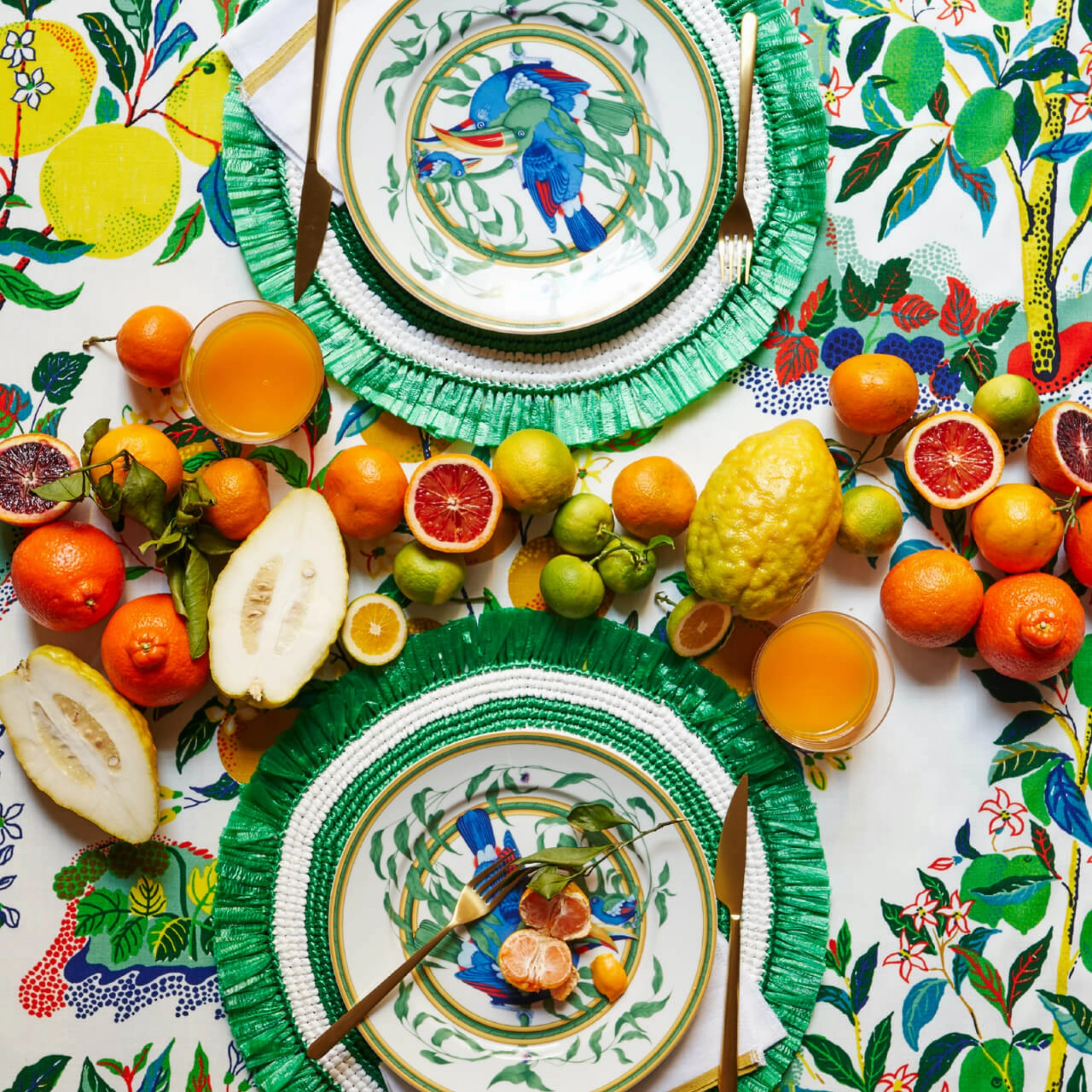 Set of 4 Green Woven Fringe Placemats