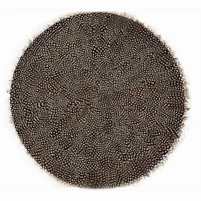 Set of 6 Guinea Fowl Feather Placemats cute desktop display