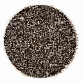 Set of 6 Guinea Fowl Feather Placemats mini desktop sculpture