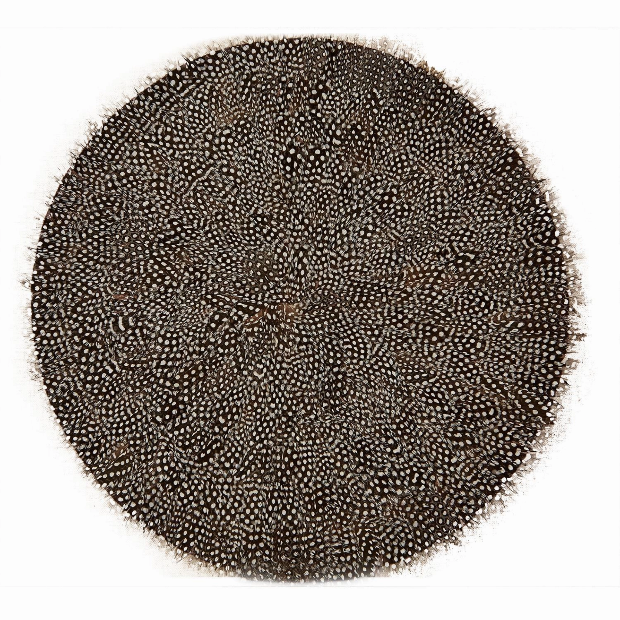 Set of 6 Guinea Fowl Feather Placemats mini desktop sculpture