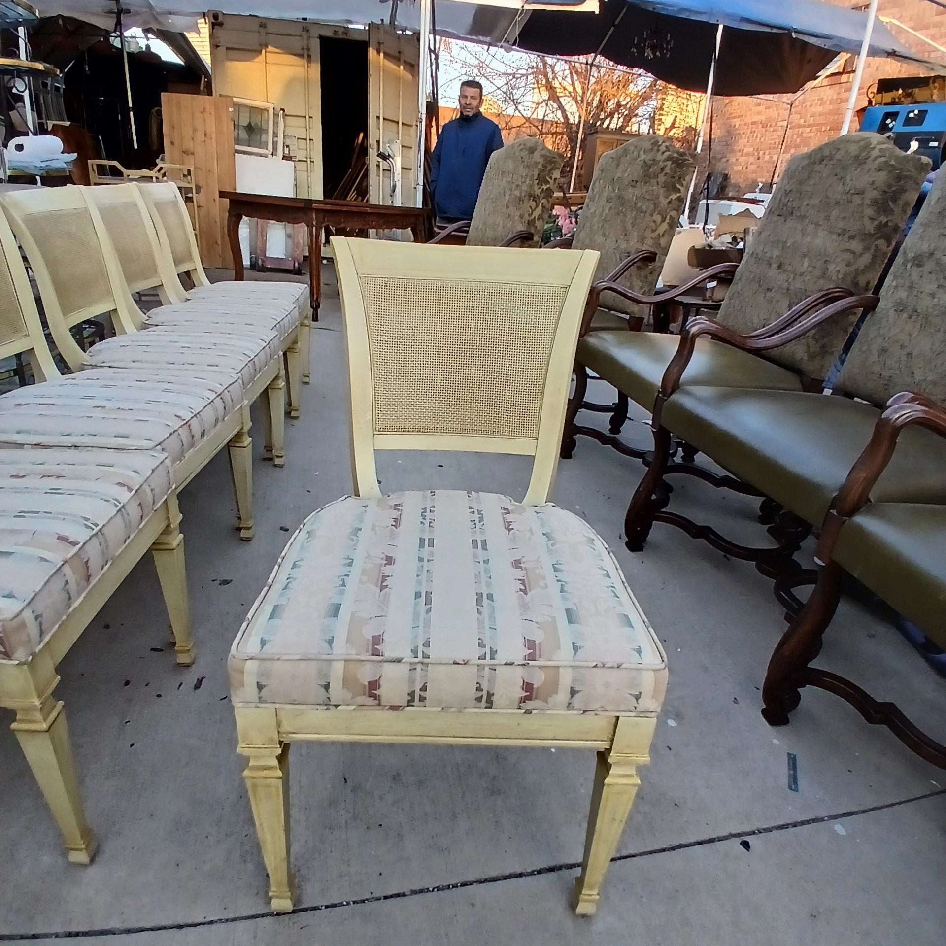 SET OF 6 LOUIS XVI CANE BACK PAINTED CHAIRS