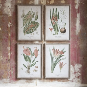 Set of Four Botanical Framed Prints 70cm modern mural painting