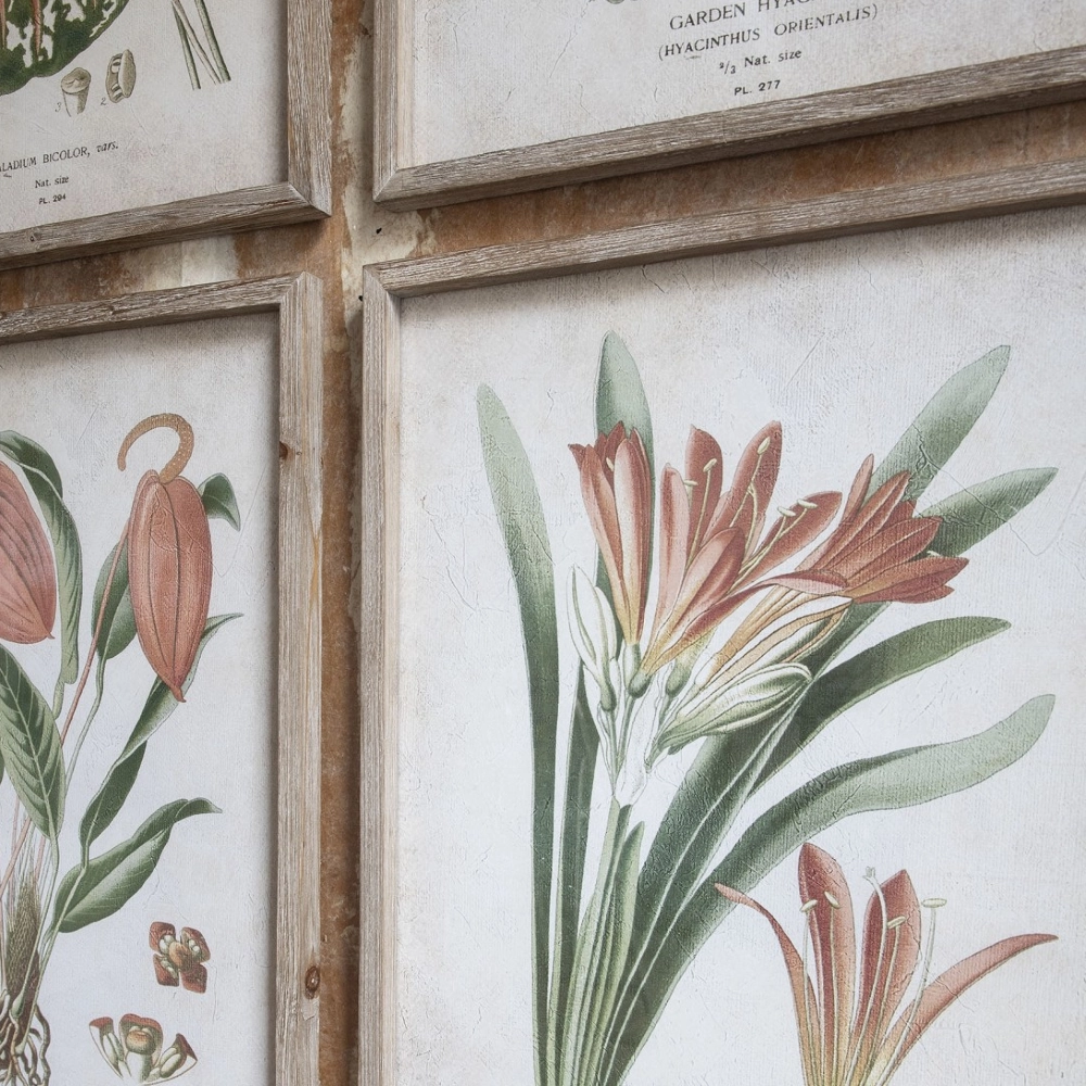 Set of Four Botanical Framed Prints 70cm