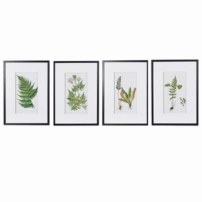Set of Four Framed Fern Floral Pictures 70cm modern mural painting