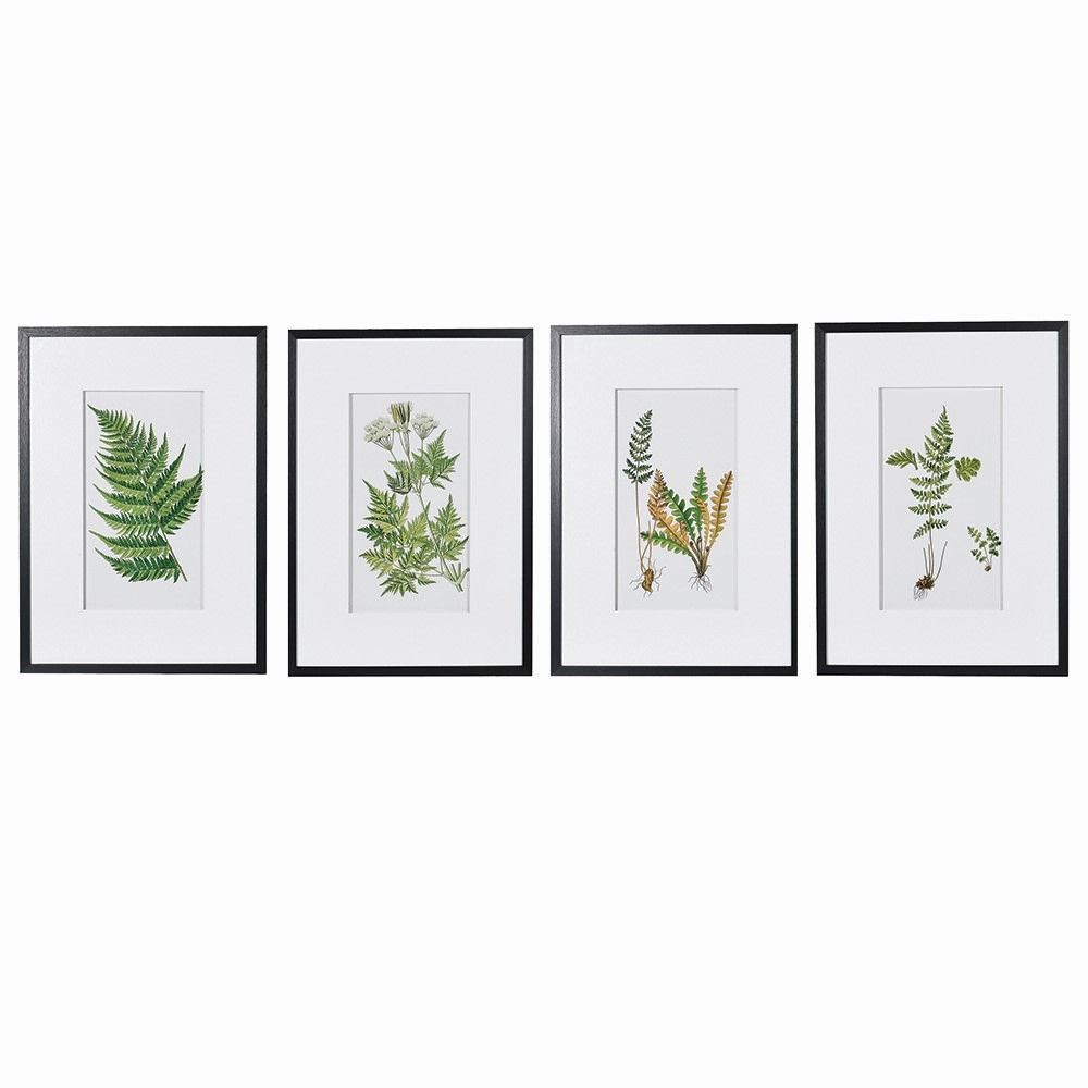 Set of Four Framed Fern Floral Pictures 70cm modern mural painting