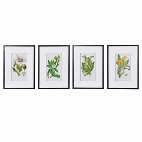 Set of Four Framed Floral Pictures 70cm modern mural painting