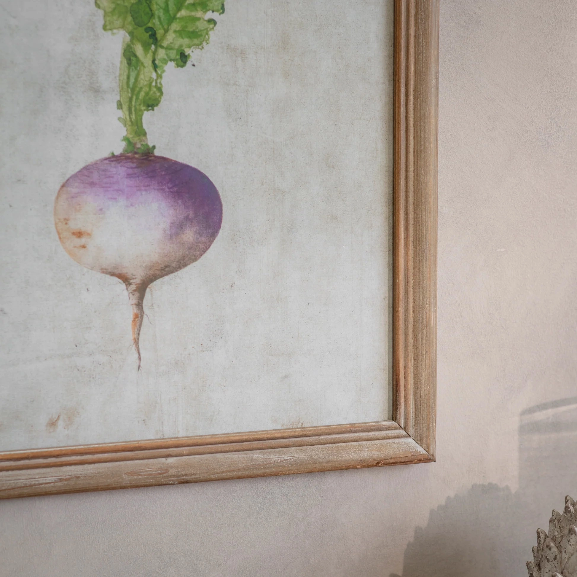 Set of Four Framed Root Vegetable Prints