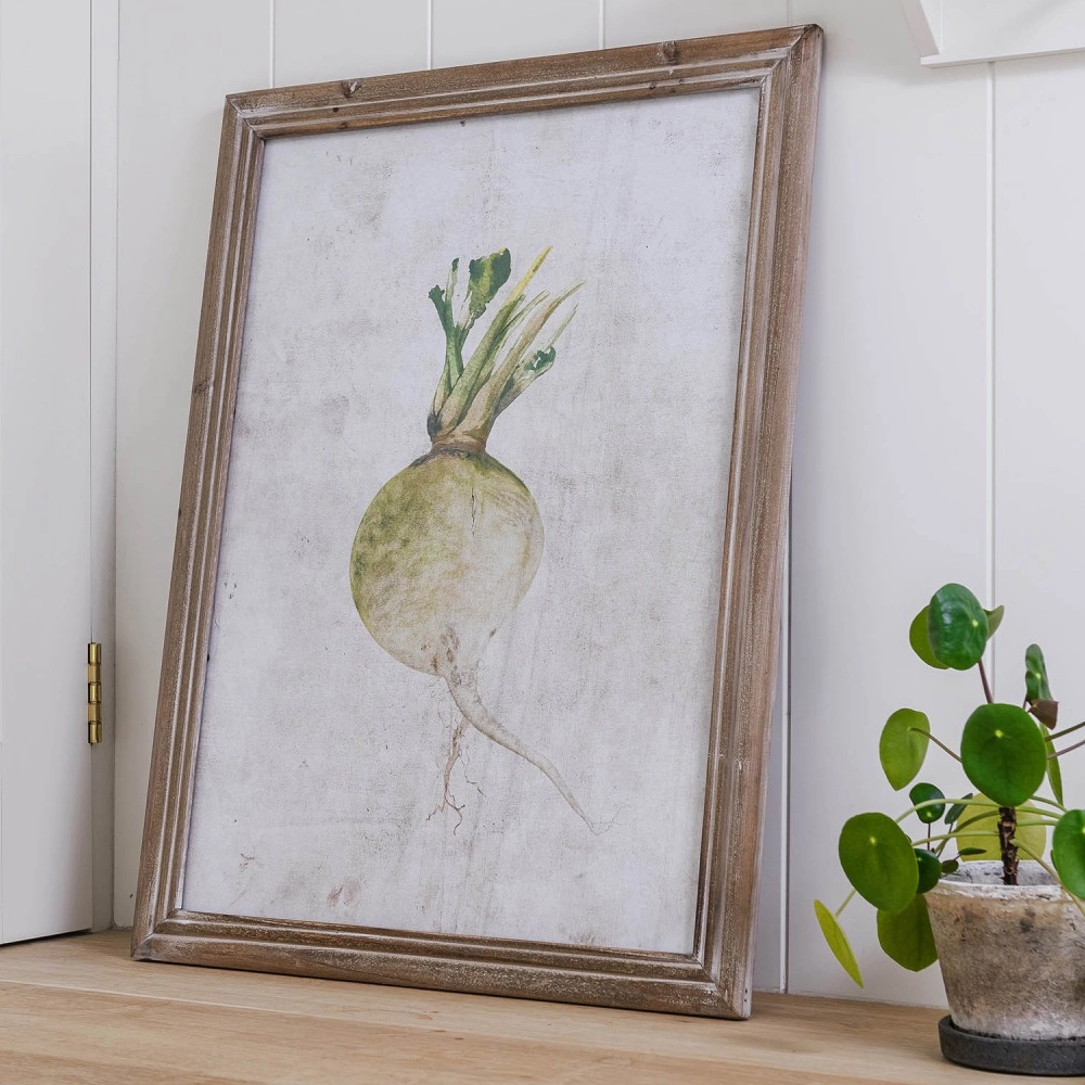 Set of Four Framed Root Vegetable Prints