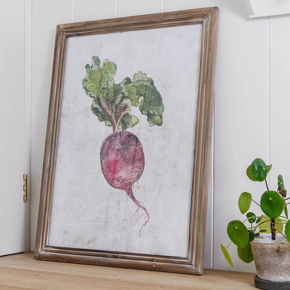Set of Four Framed Root Vegetable Prints