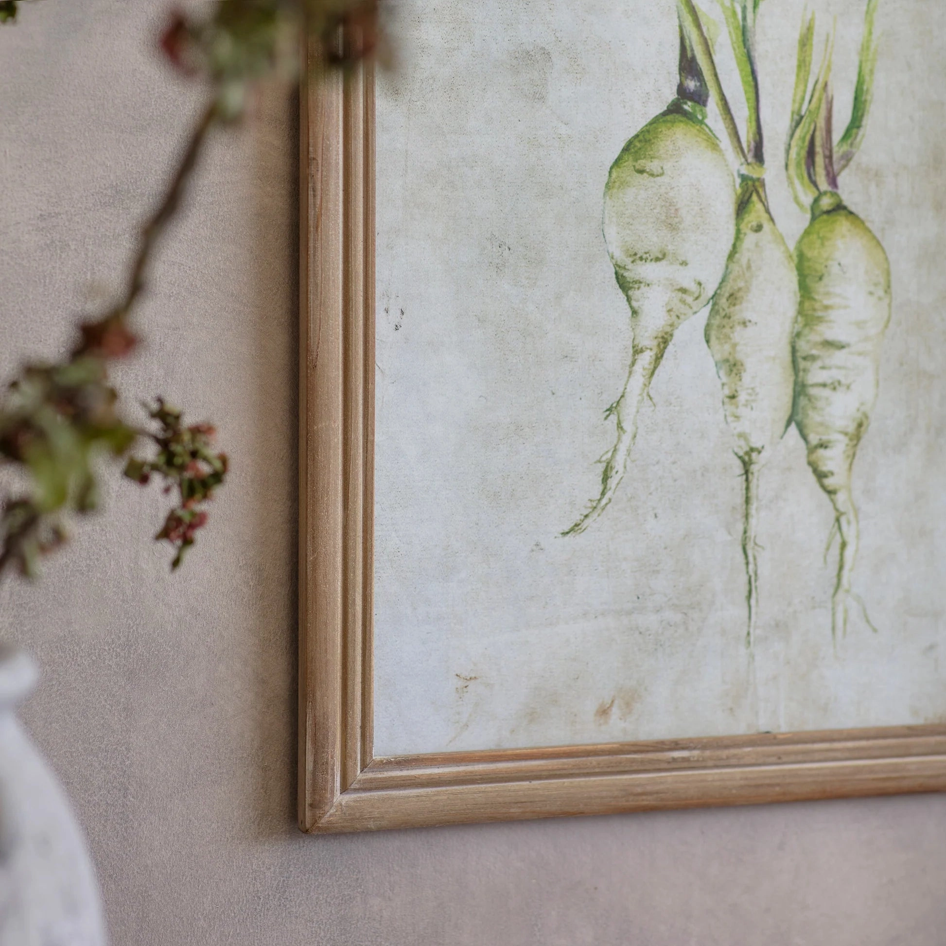 Set of Four Framed Root Vegetable Prints