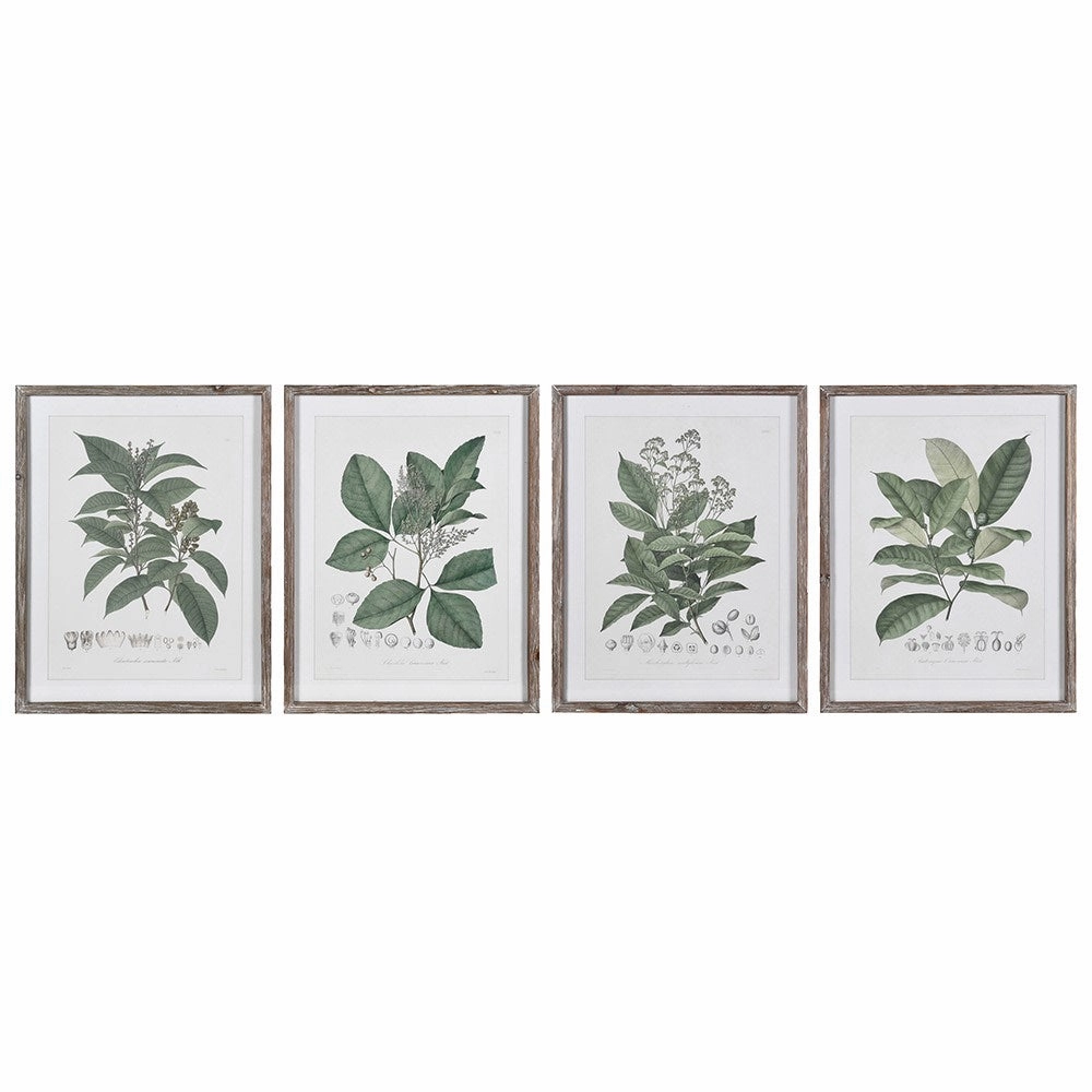 Set of Four Perennial Herbs Wall Art 65cm modern mural painting